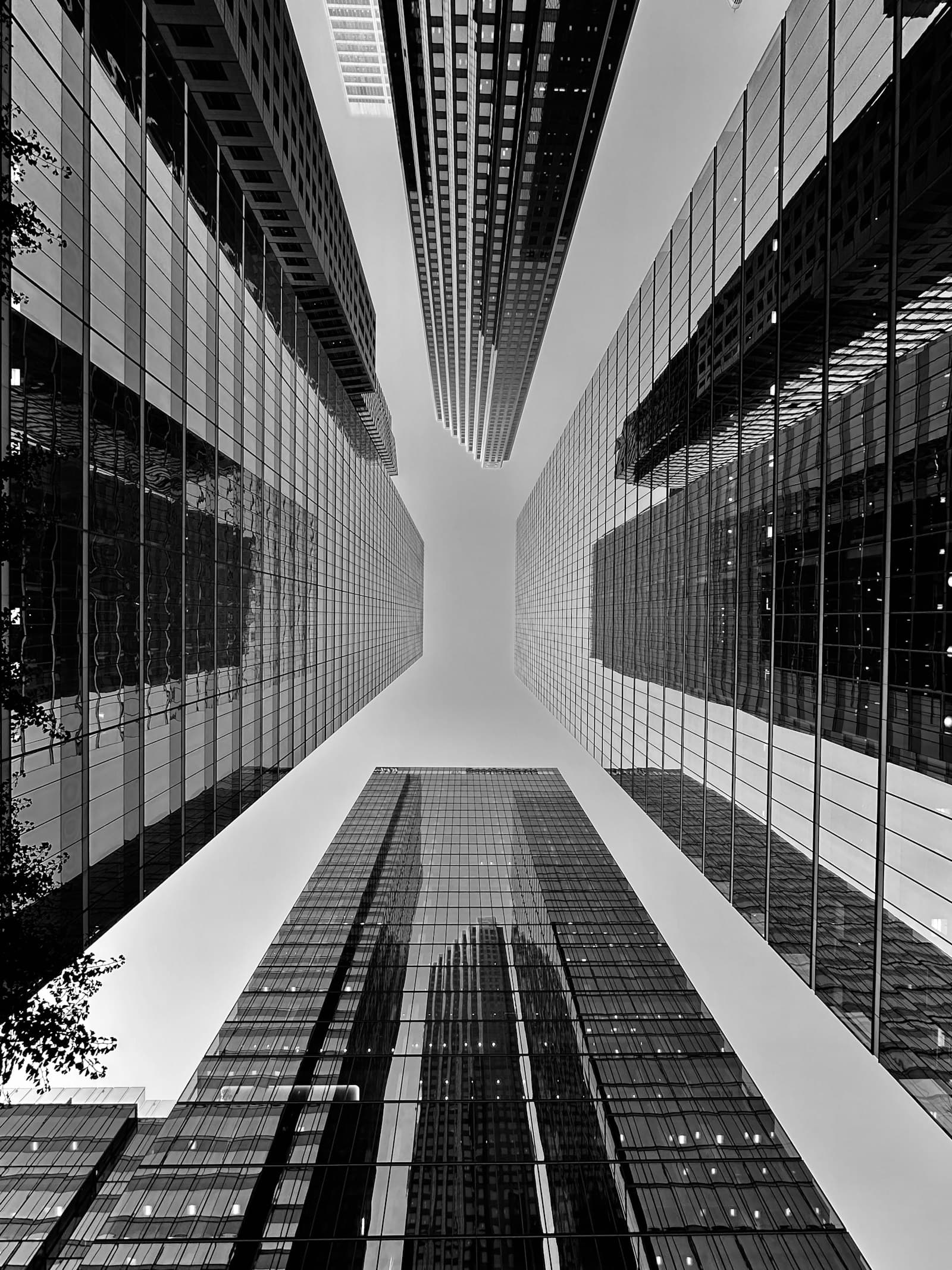 Rascacielos vistos desde abajo en blanco y negro