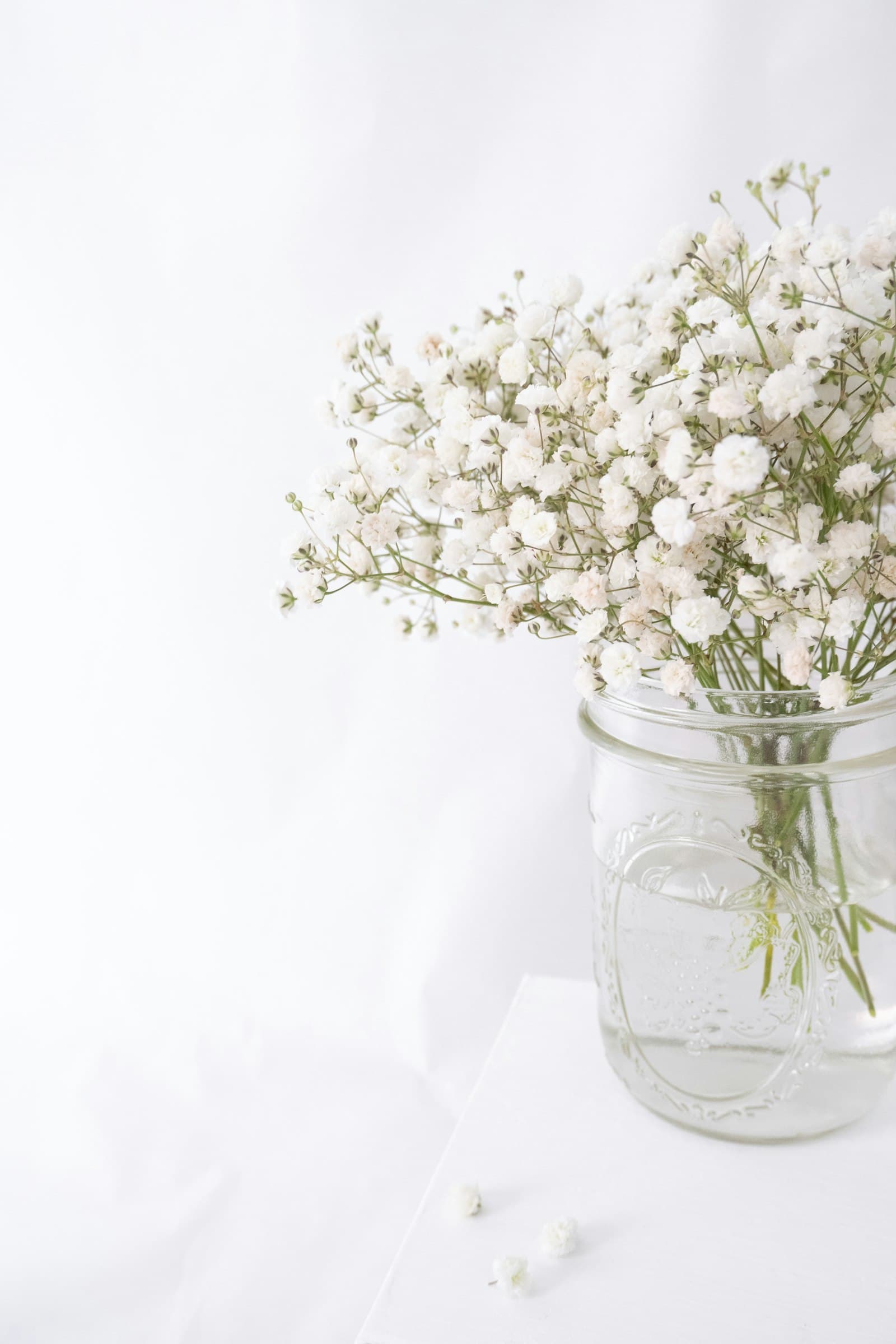Flores blancas en un frasco de vidrio